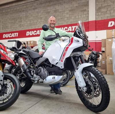 Ducati DesertX (2022 - 25) usata