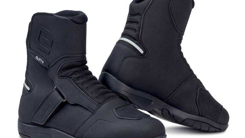 Eleveit Neutron WP e Proton WP