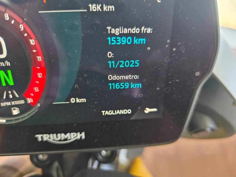 Triumph Speed Triple 1200 RS (2021 - 24) (12)