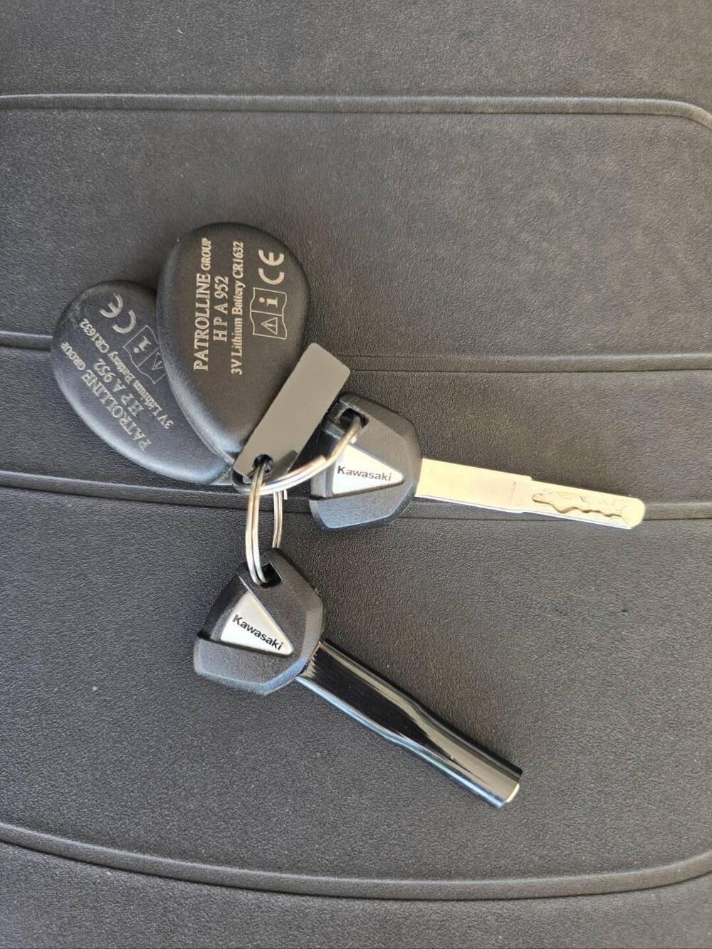 Kawasaki Z 650 RS (2022 - 24) (11)