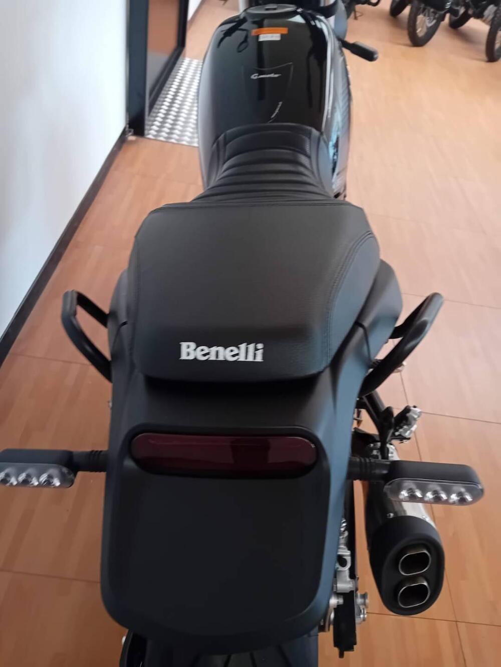 Benelli Leoncino 500 (2021 - 25) (3)