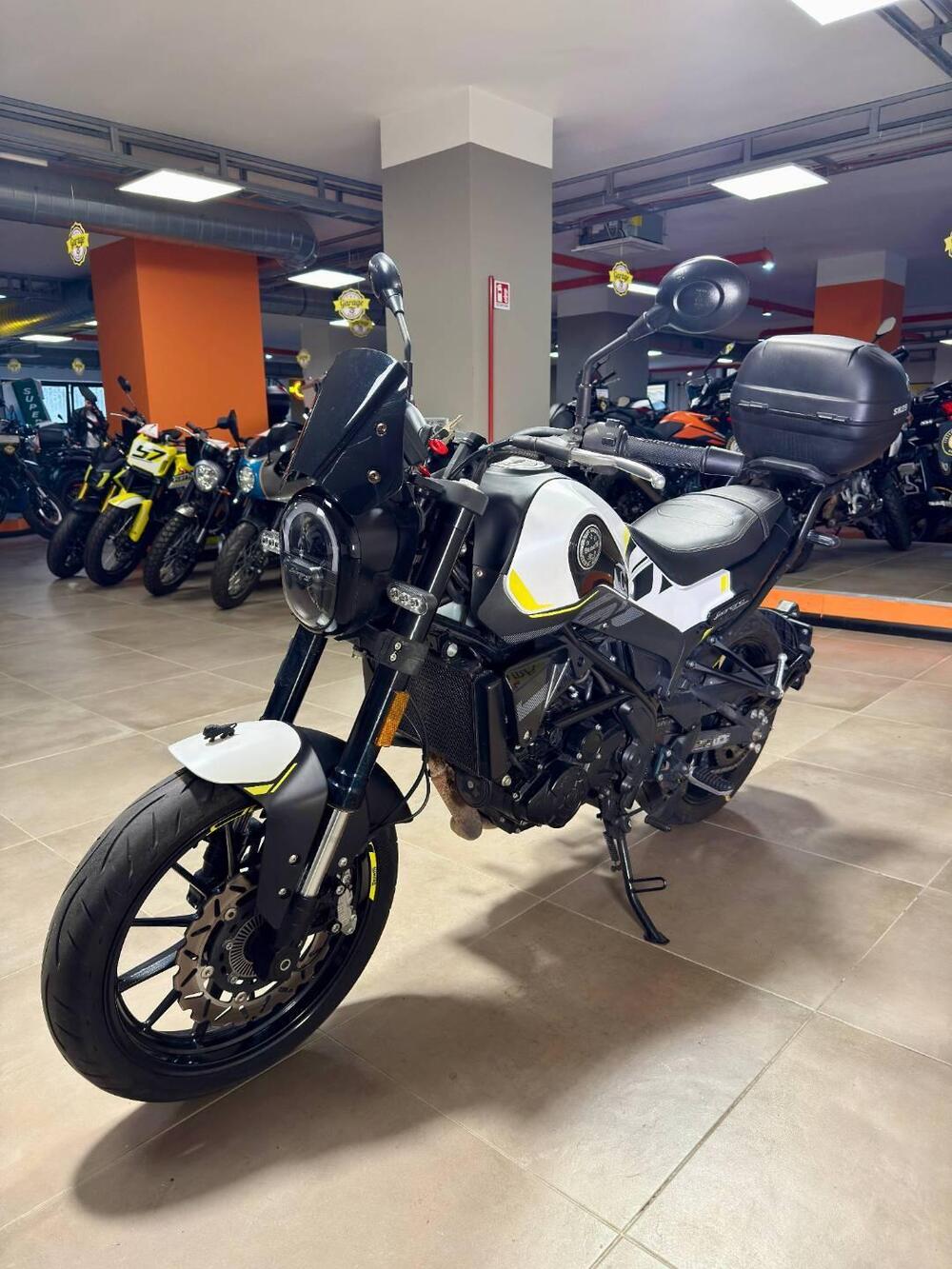 Benelli Leoncino 250 (2021 - 25) (3)