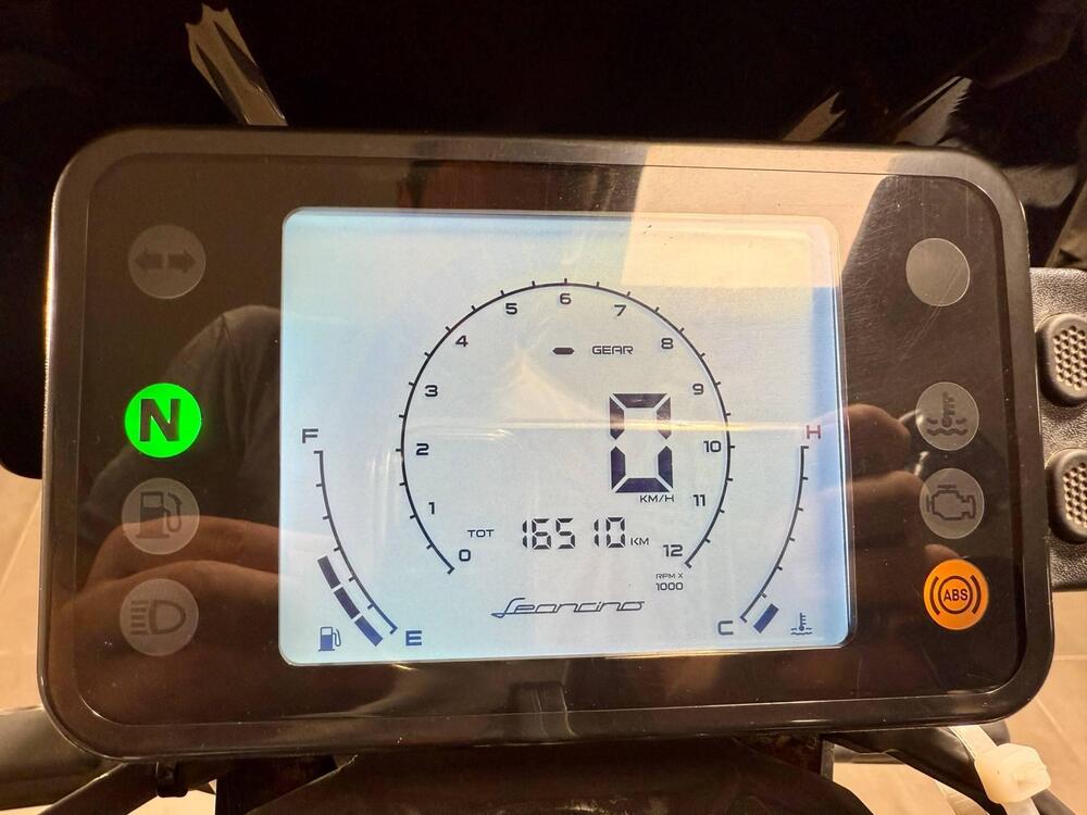 Benelli Leoncino 250 (2021 - 25) (5)