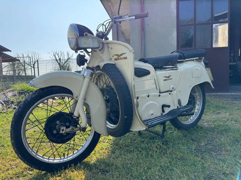 Moto Guzzi galletto 192 (6)