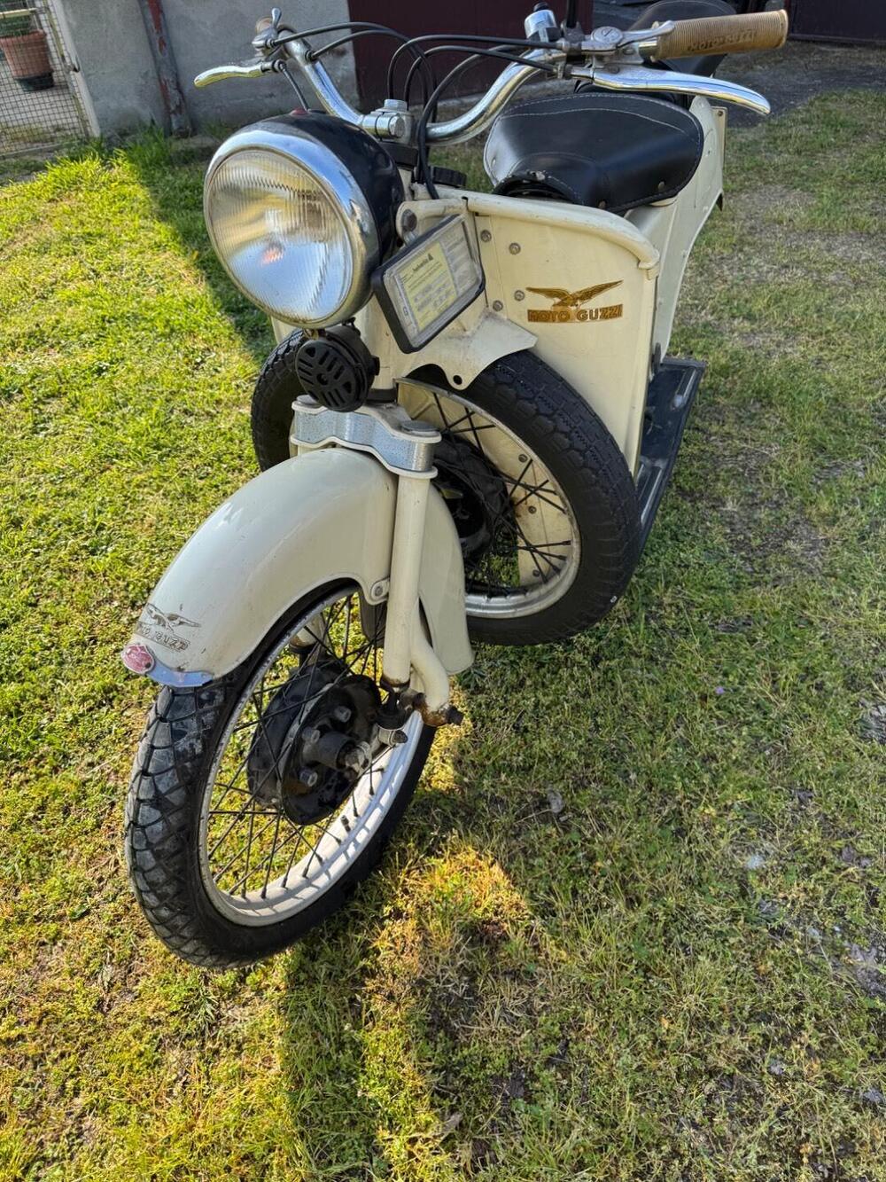 Moto Guzzi galletto 192 (10)