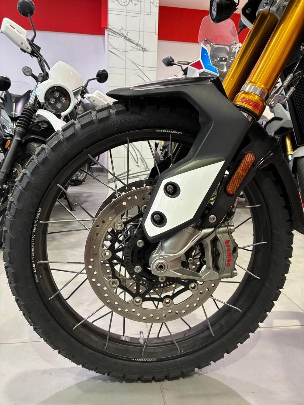 Triumph Tiger 900 Rally Pro (2020 - 23) (6)