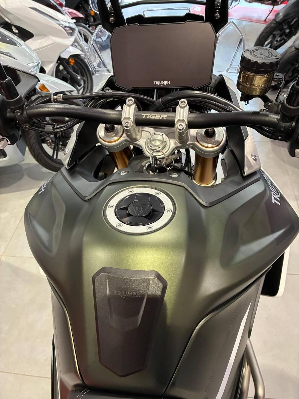 Triumph Tiger 900 Rally Pro (2020 - 23) (16)