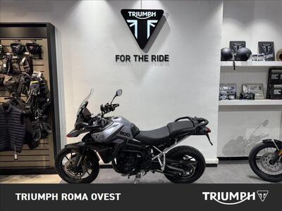 Triumph Tiger 900 GT (2024 - 25) usata