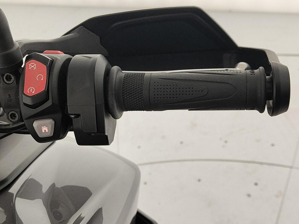 Triumph Tiger 900 GT Pro (2024 - 25) (9)