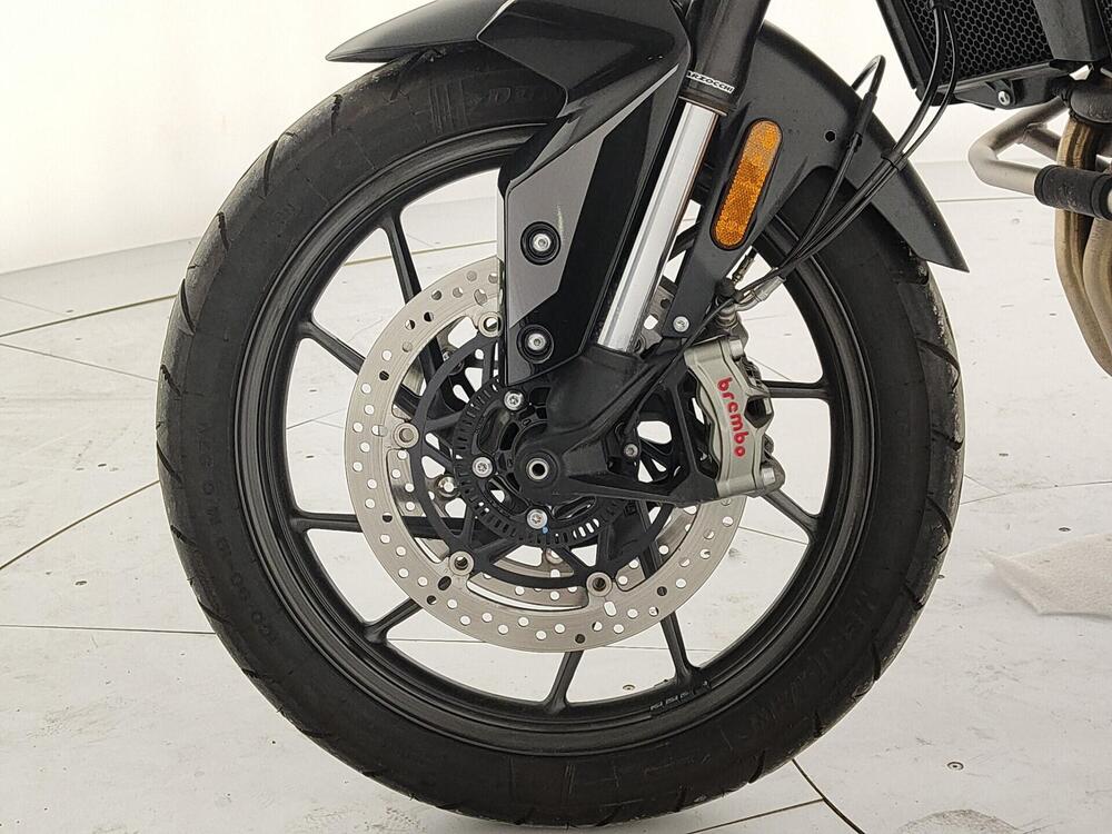 Triumph Tiger 900 GT Pro (2024 - 25) (11)