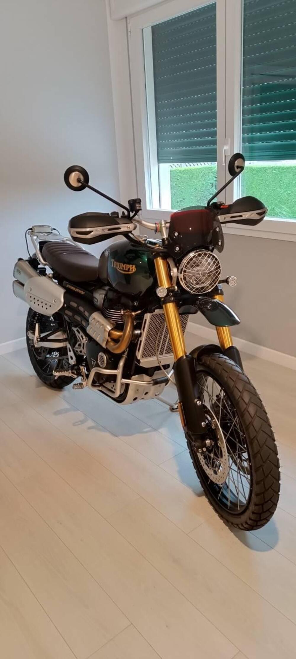 Triumph Scrambler 1200 Steve McQueen Edition (2021 - 22) (2)