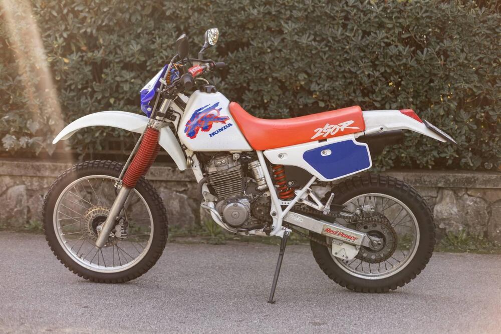 Honda XR 250 R (1992 - 02) (12)