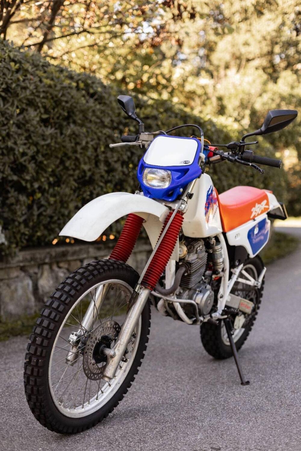 Honda XR 250 R (1992 - 02) (13)