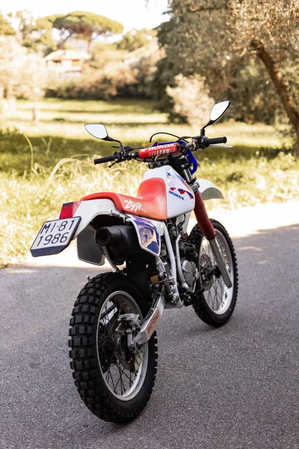 Honda XR 250 R (1992 - 02) (15)