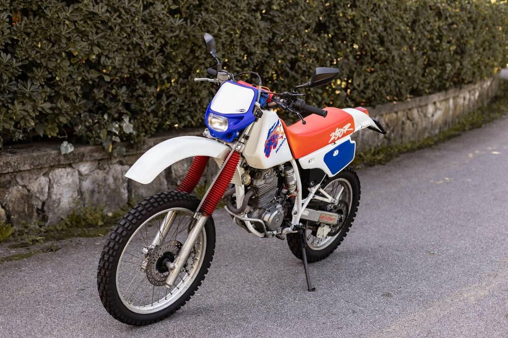 Honda XR 250 R (1992 - 02) (18)