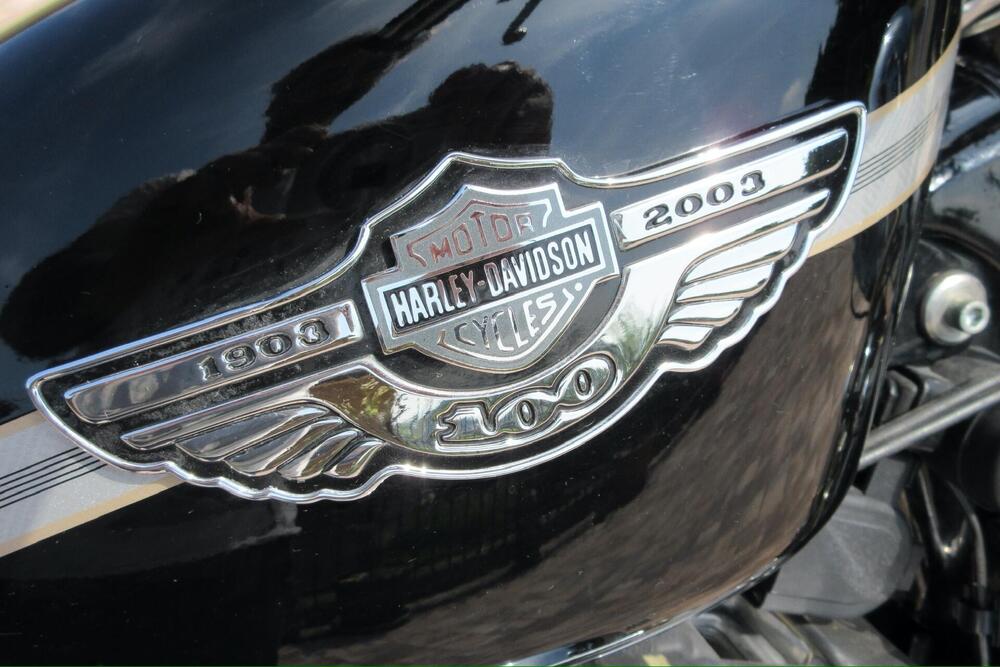 Harley-Davidson Sportster (13)