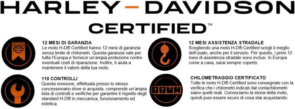 Harley-Davidson 1690 Fat Bob (2014 - 16) - FXDF (16)