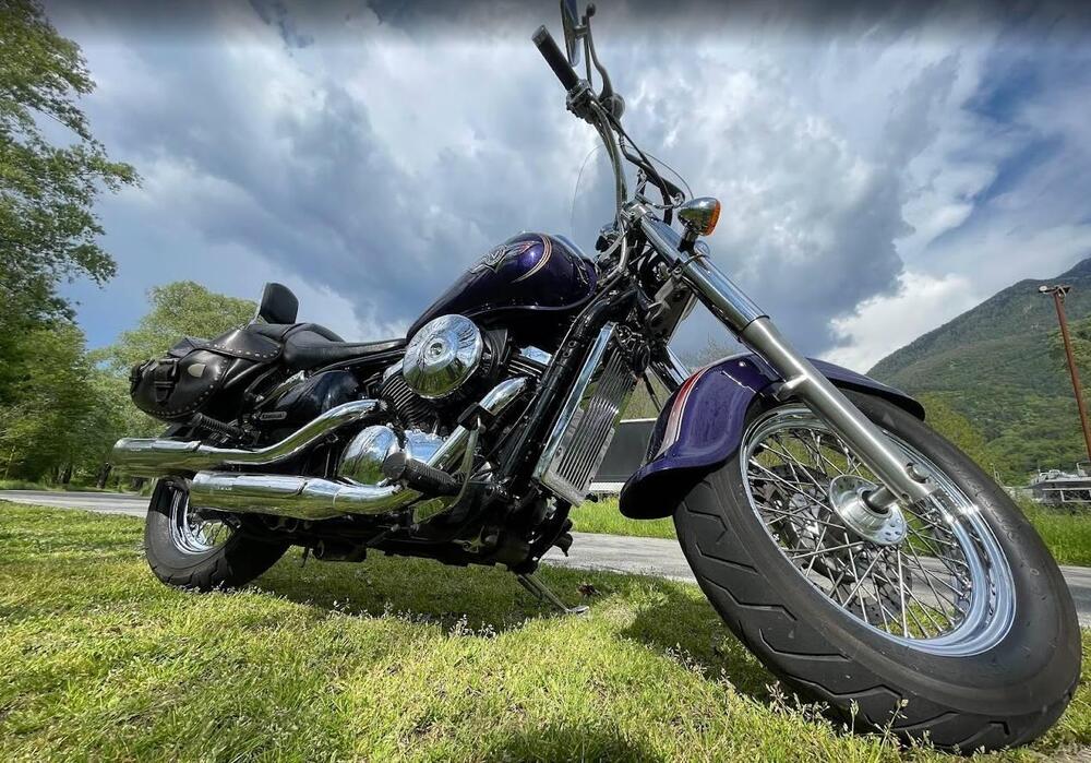 Kawasaki VN 800 Classic (2001 - 06) (4)