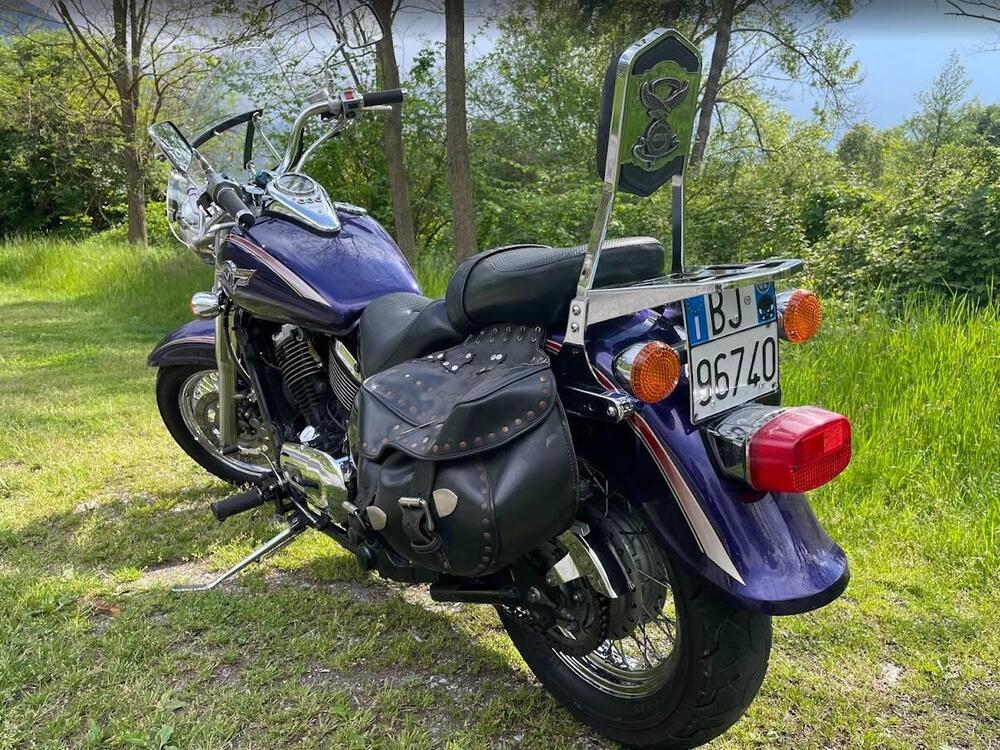 Kawasaki VN 800 Classic (2001 - 06) (7)