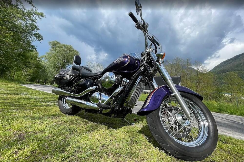 Kawasaki VN 800 Classic (2001 - 06) (8)