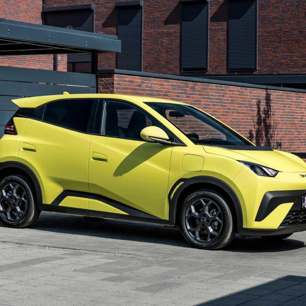Byd Dolphin