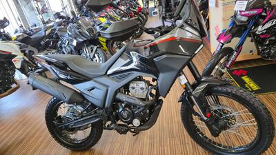 Morbidelli T125X (2025) nuova