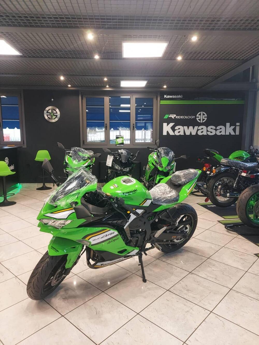 Kawasaki Ninja ZX-4RR (2024 - 26)