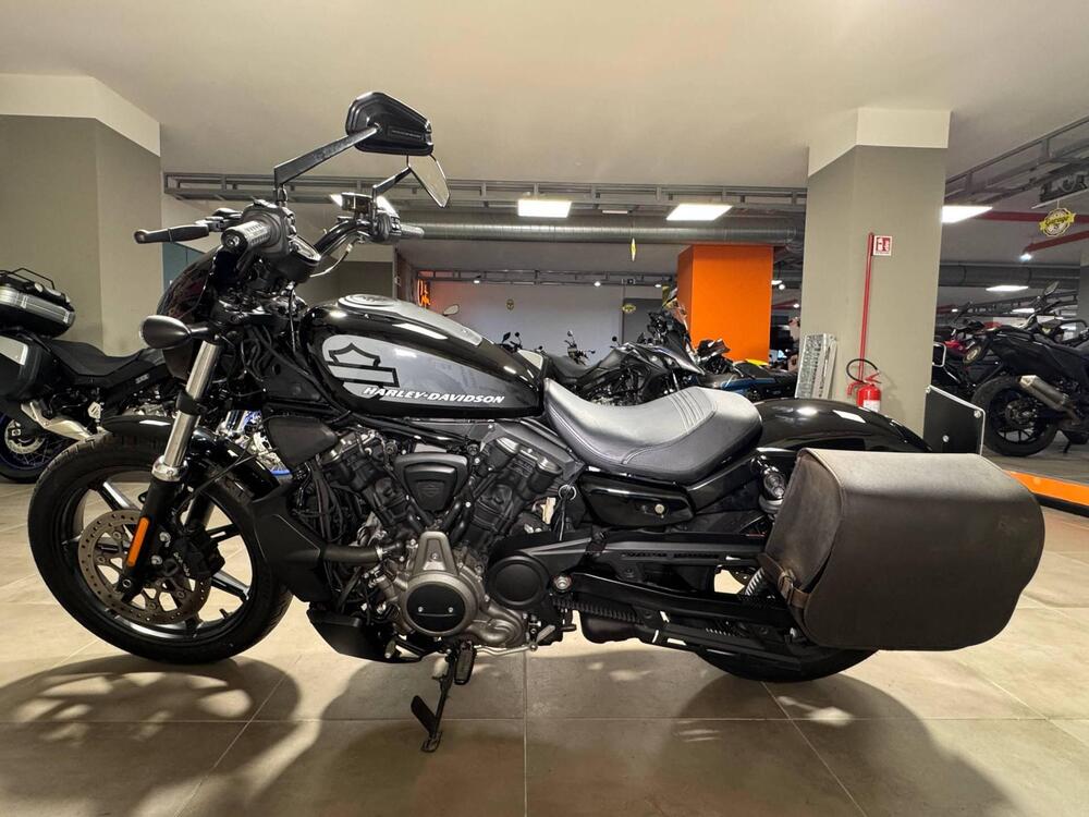 Harley-Davidson Nightster Special (2023 - 25) (4)