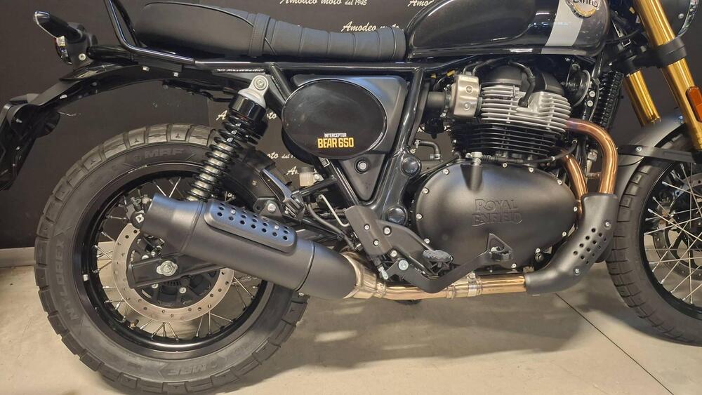 Royal Enfield Bear 650 (2025 - 26) (3)