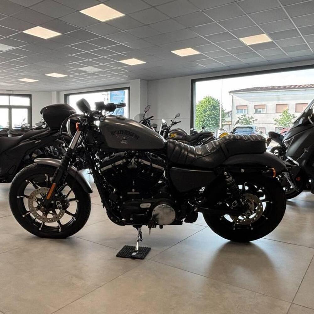 Harley-Davidson 883 Iron (2017 - 20) - XL 883N