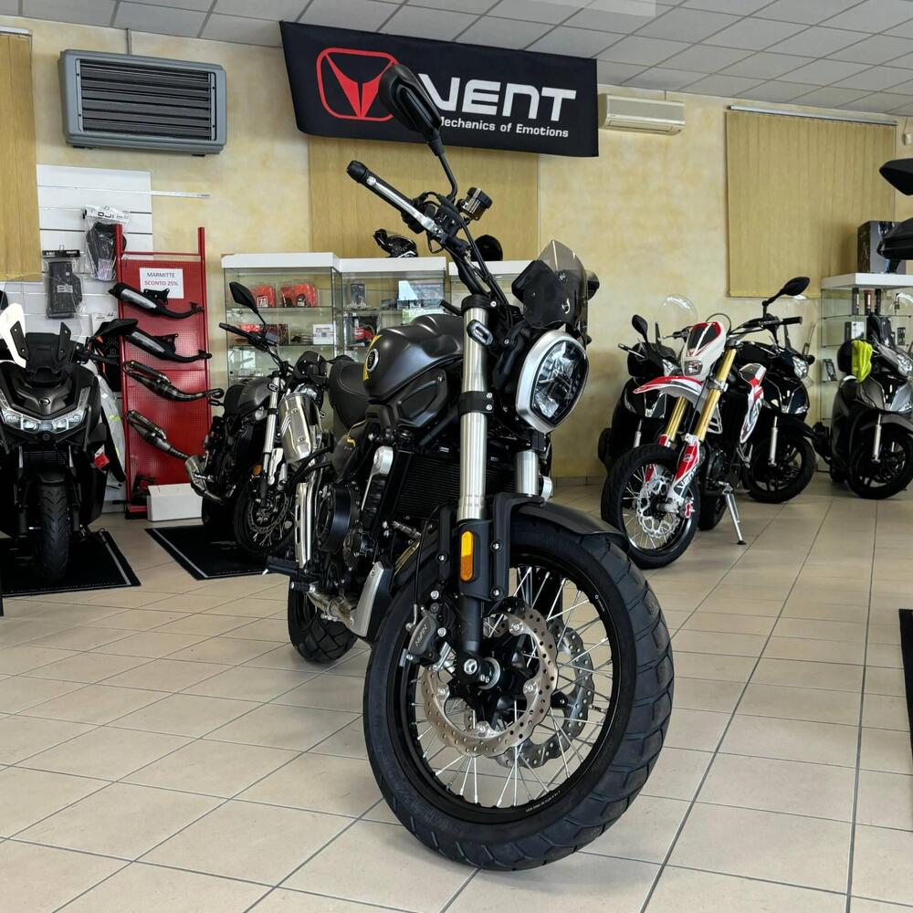 Voge Trofeo 525ACX Scrambler (2023 - 26)