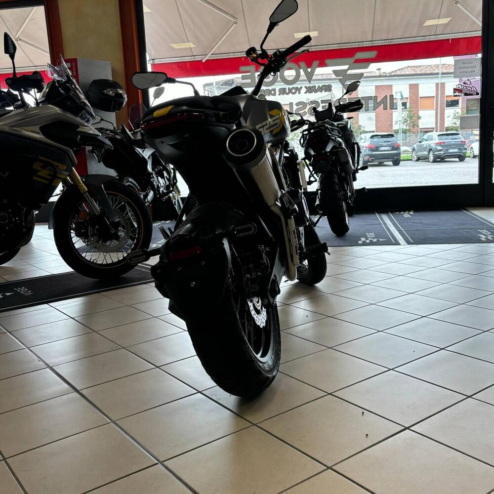Voge Trofeo 525ACX Scrambler (2023 - 26) (3)