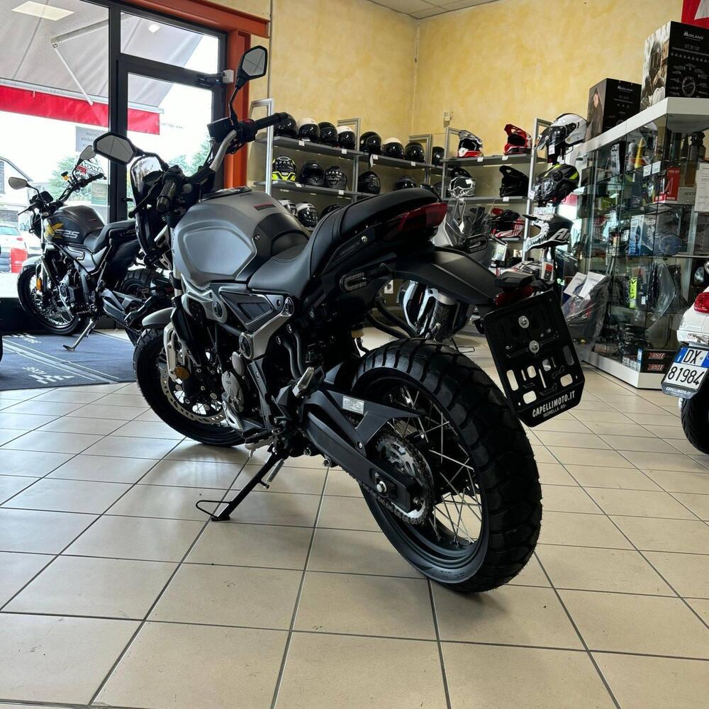 Voge Trofeo 300ACX Scrambler (2021 - 26) (2)