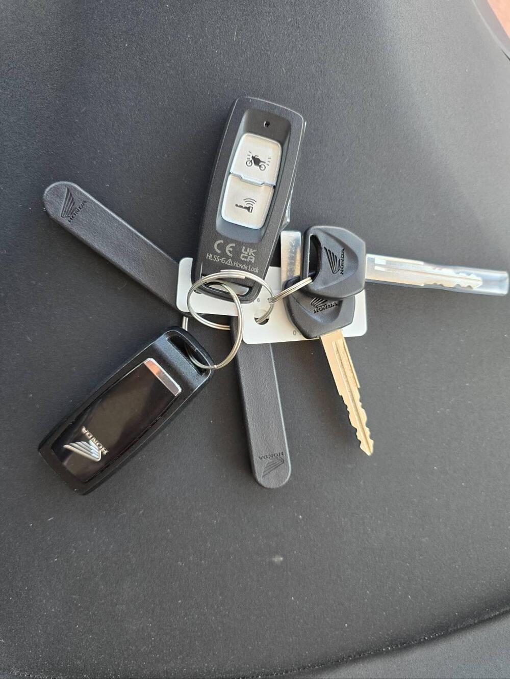 Honda ADV 350 (2022 - 24) (14)