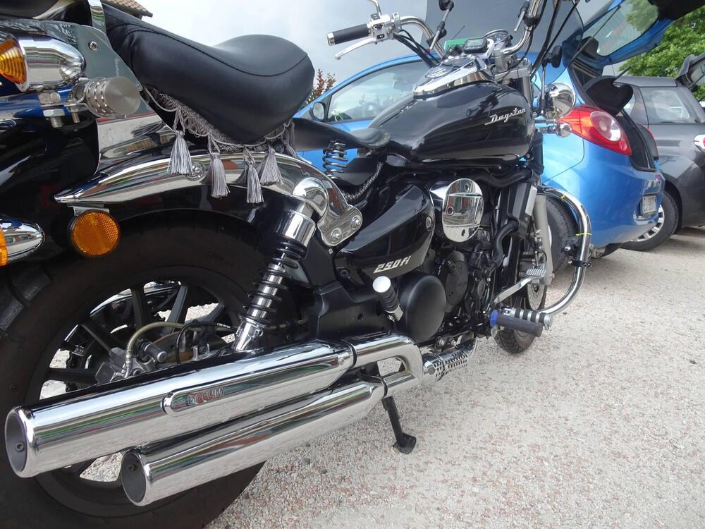 Daelim Daystar 250 (2003 - 17) (16)