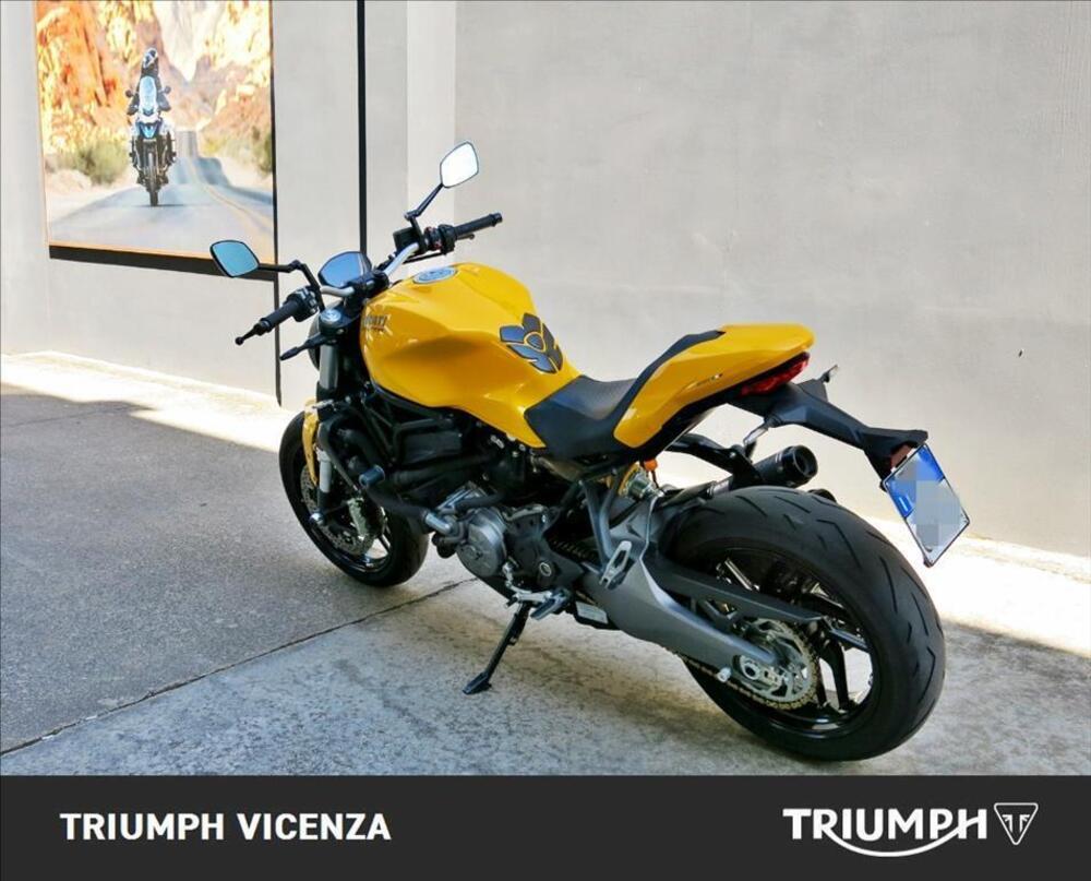 Ducati Monster 821 (2018 - 20) (7)