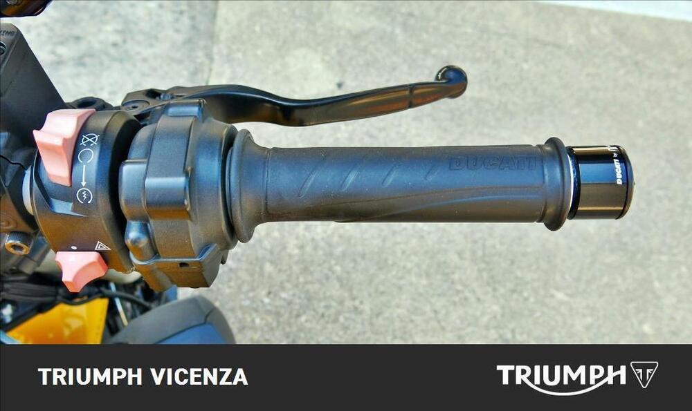 Ducati Monster 821 (2018 - 20) (15)