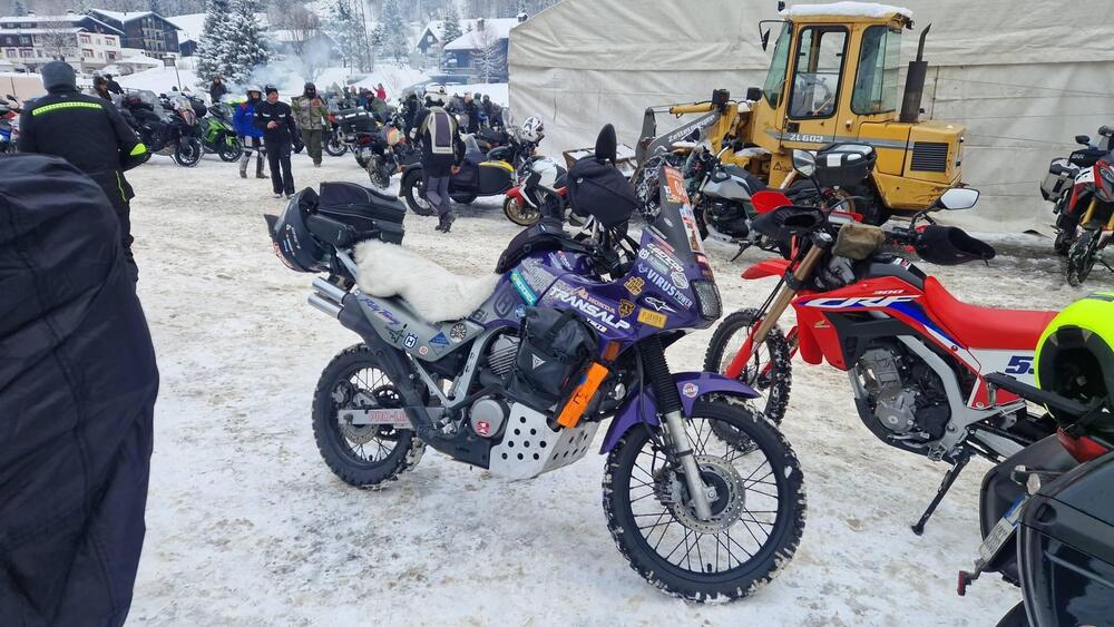 Honda Transalp XL 600V (1997 - 99) (2)