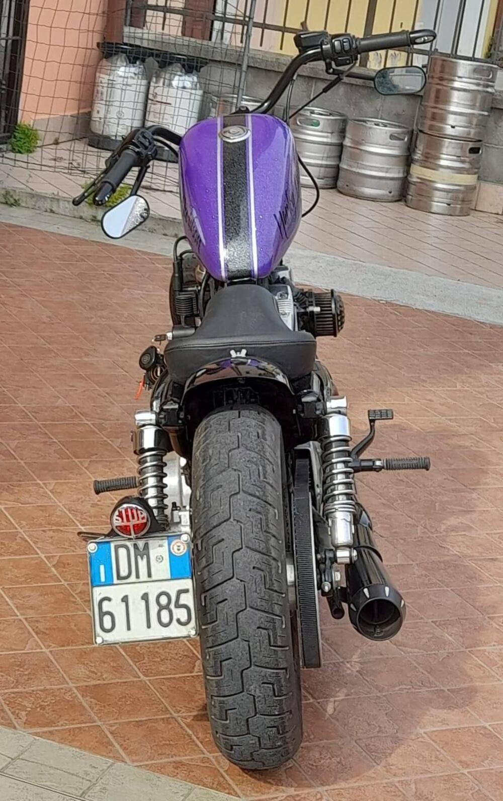 Harley-Davidson 883 (2008 - 09) - XL (2)