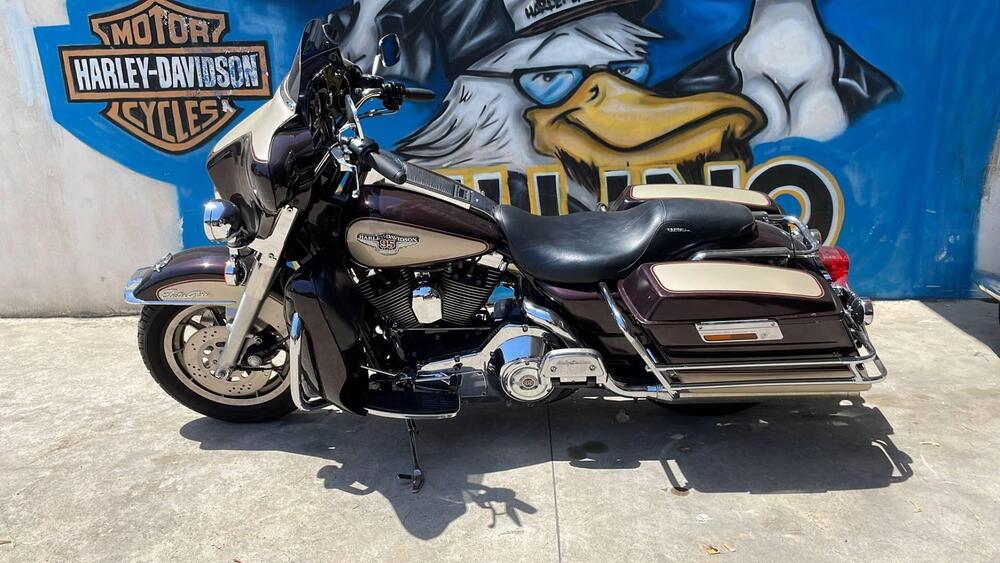 Harley-Davidson 1340 Electra Glide Standard (1995 - 99) - FLHT (7)