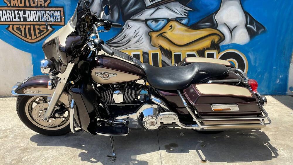 Harley-Davidson 1340 Electra Glide Standard (1995 - 99) - FLHT (8)