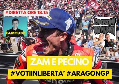 zam e pecino: voti in libertà [VIDEO]