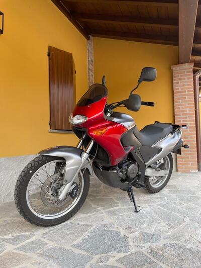 Aprilia Pegaso 650 IE (2003 - 04) usata