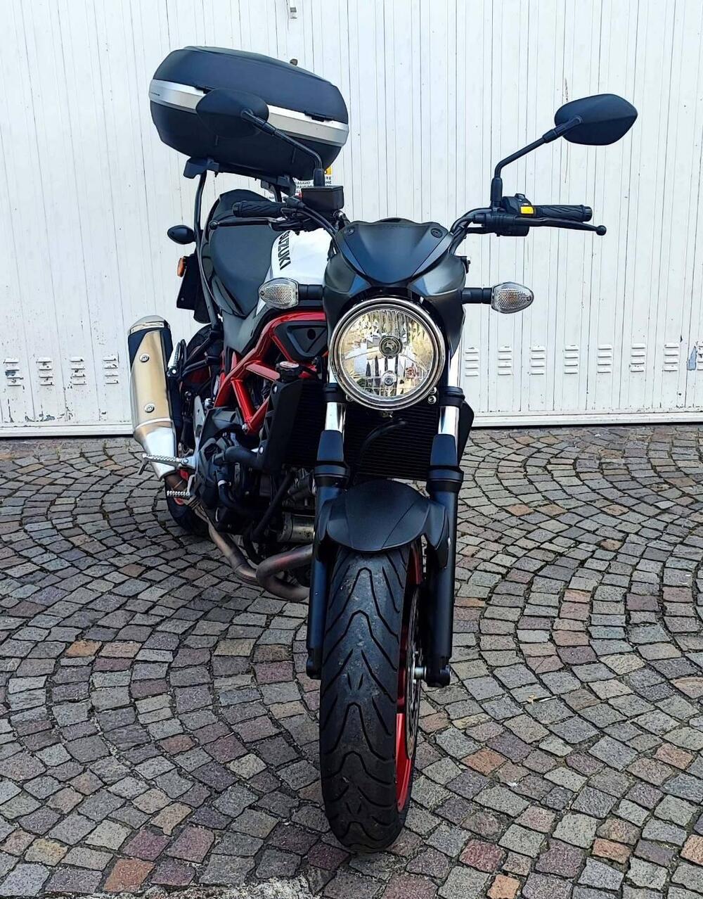 Suzuki SV650 (2021 - 24) (3)