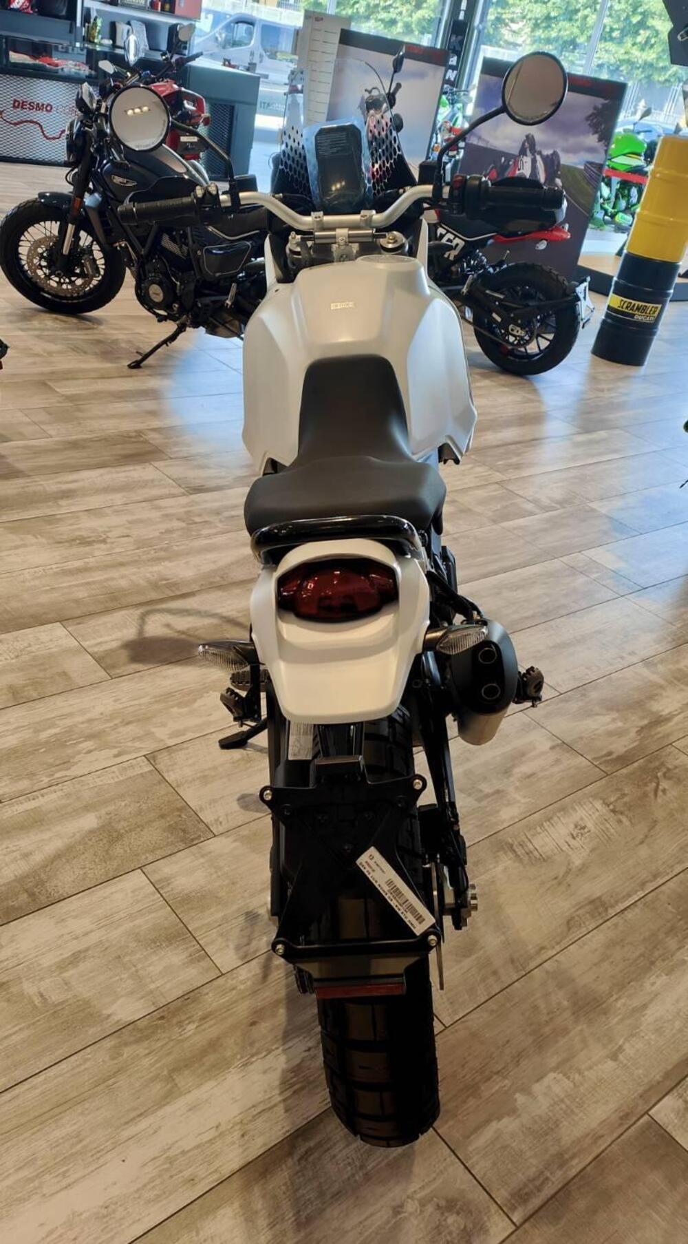 Ducati DesertX (2022 - 25) (5)