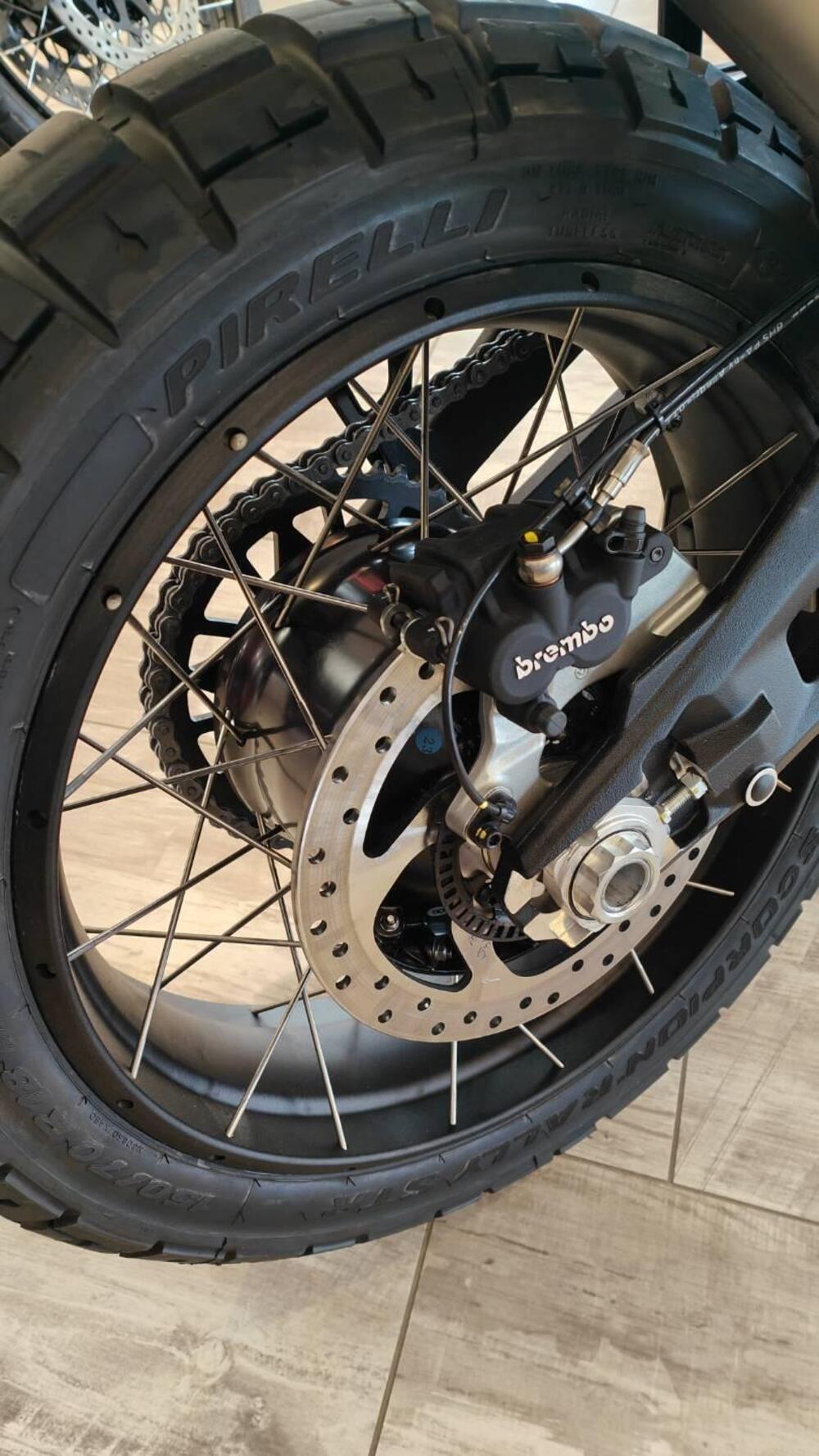 Ducati DesertX (2022 - 25) (6)