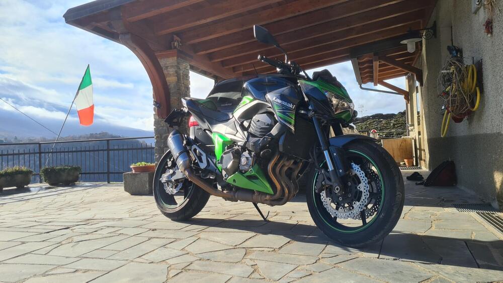 Kawasaki Z 800 Performance (2013 - 13) (4)