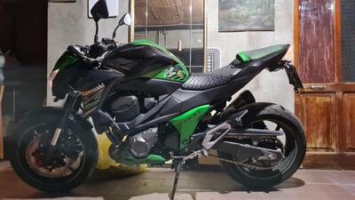 Kawasaki Z 800 Performance (2013 - 13) usata