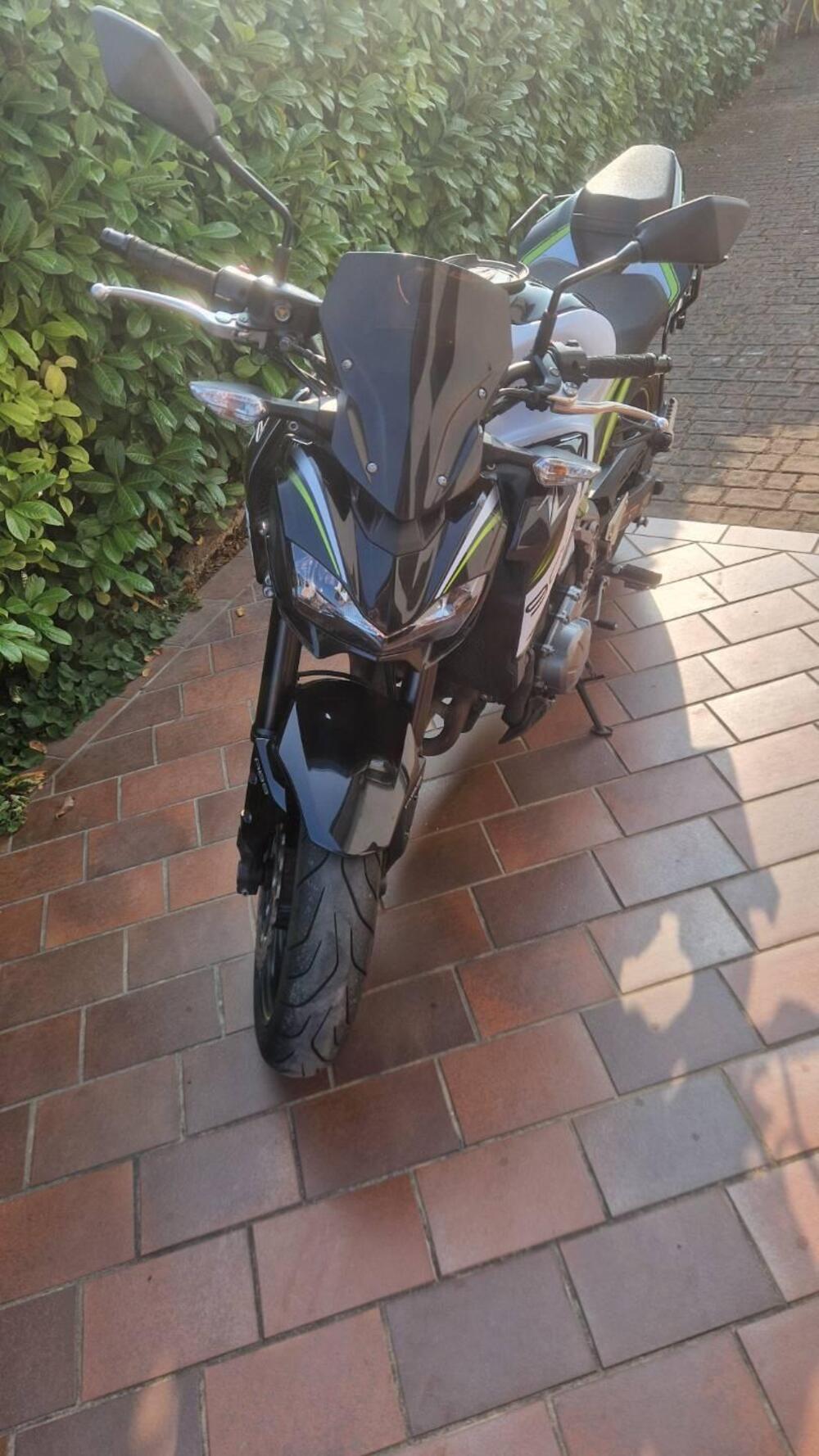 Kawasaki Z 900 (2019) (3)