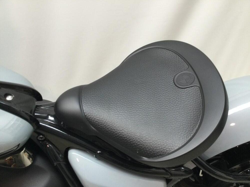 Bmw R 18 Roctane (2025) (11)